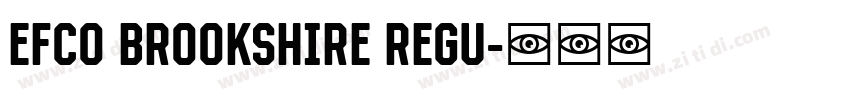EFCO Brookshire Regu字体转换